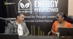 Leadership, strategic roadmap integral to Guyana’s success with digital transformation- EY Leader