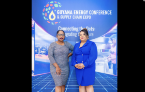 More space for women in energy