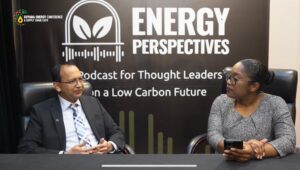 President of National Energy discusses how Guyana can meet global carbon standards