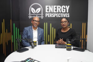 All must join forces for Guyana’s digital transformation -WANsat COO