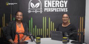 Financial literacy vital for sustainable growth of Guyana’s business sector-MSMCoaching Practice CEO