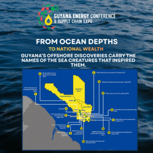 From Ocean Depths to National Wealth: Guyana’s offshore discoveries carry the names of the sea creatures that inspired them